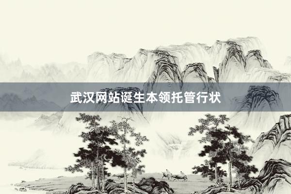 武汉网站诞生本领托管行状