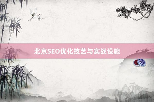北京SEO优化技艺与实战设施