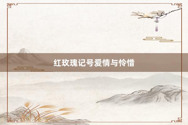 红玫瑰记号爱情与怜惜